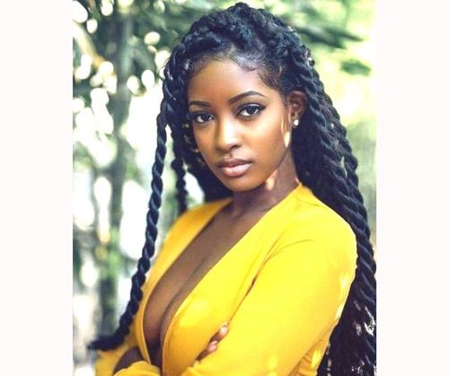 _New Thick And Twisty Black Braided Hairstyles